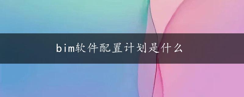 bim软件配置计划是什么