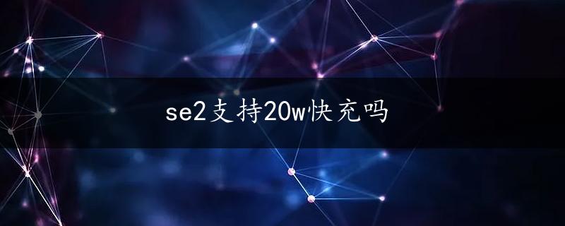 se2支持20w快充吗