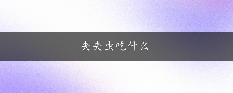 夹夹虫吃什么