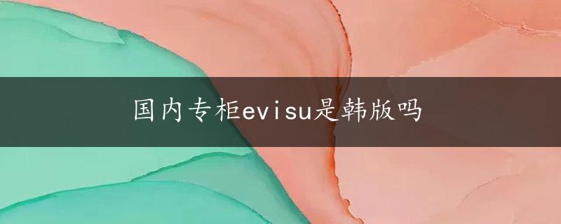 国内专柜evisu是韩版吗