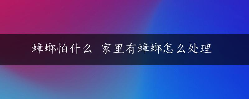 蟑螂怕什么 家里有蟑螂怎么处理