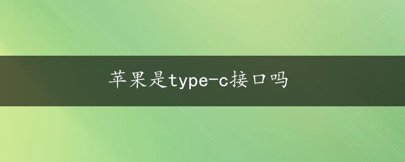 苹果是type-c接口吗