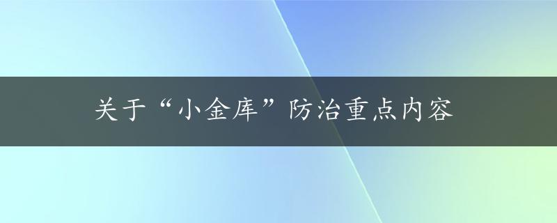 关于“小金库”防治重点内容