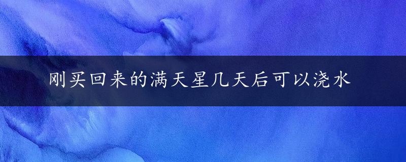 刚买回来的满天星几天后可以浇水