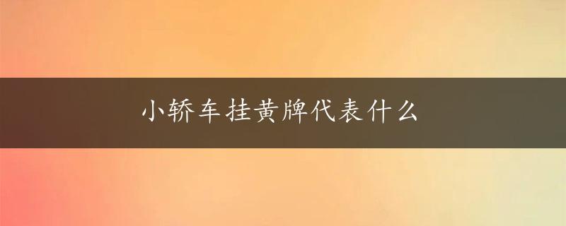 小轿车挂黄牌代表什么