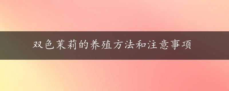 双色茉莉的养殖方法和注意事项