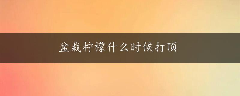 盆栽柠檬什么时候打顶