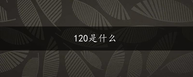 120是什么