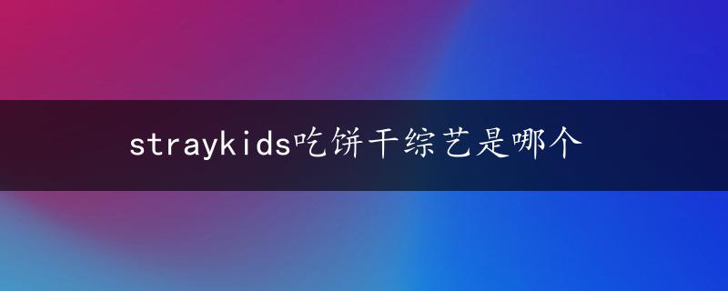 straykids吃饼干综艺是哪个