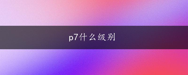 p7什么级别