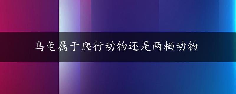 乌龟属于爬行动物还是两栖动物