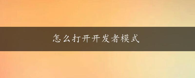 怎么打开开发者模式