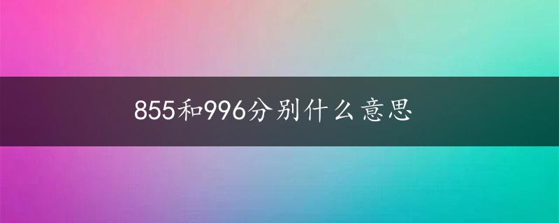 855和996分别什么意思