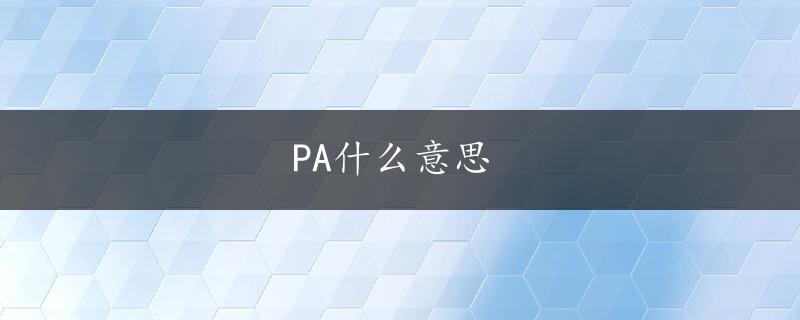 PA什么意思