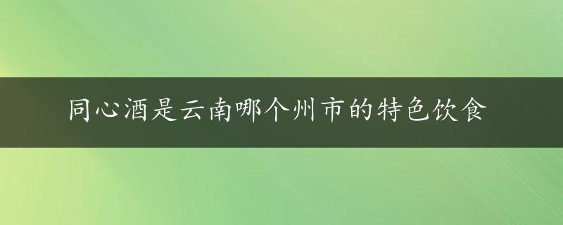 同心酒是云南哪个州市的特色饮食