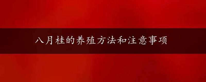 八月桂的养殖方法和注意事项