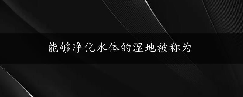 能够净化水体的湿地被称为