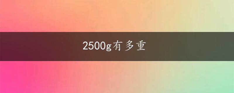 2500g有多重