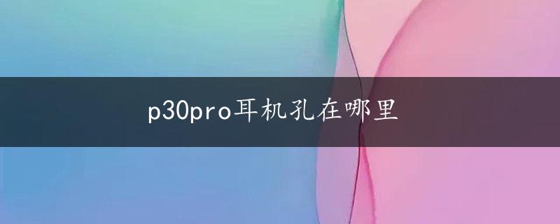 p30pro耳机孔在哪里