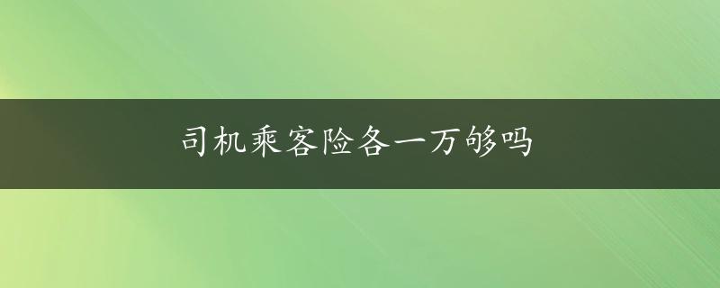 司机乘客险各一万够吗