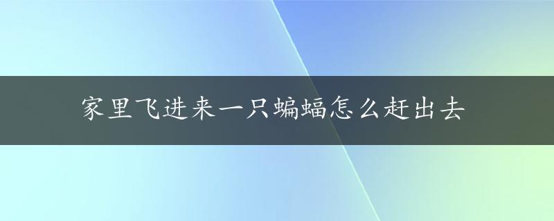 家里飞进来一只蝙蝠怎么赶出去