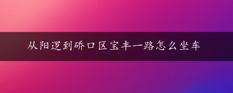 从阳逻到硚口区宝丰一路怎么坐车