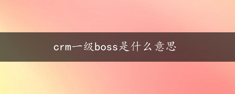 crm一级boss是什么意思