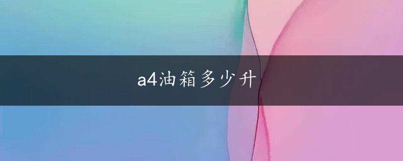 a4油箱多少升