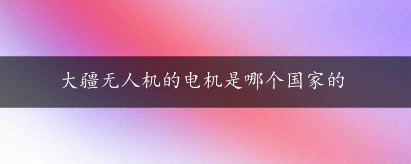 大疆无人机的电机是哪个国家的