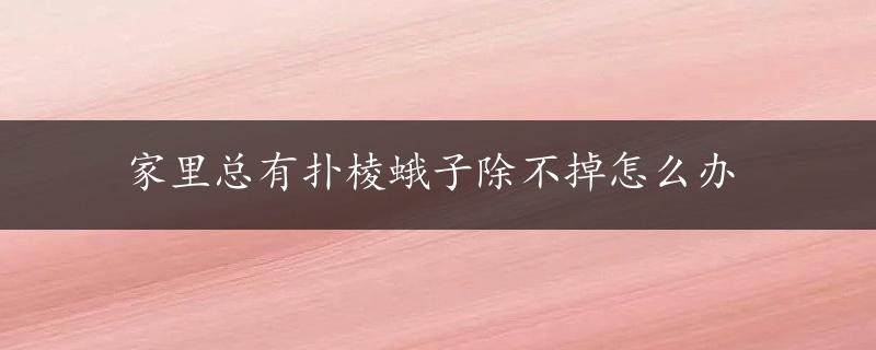 家里总有扑棱蛾子除不掉怎么办