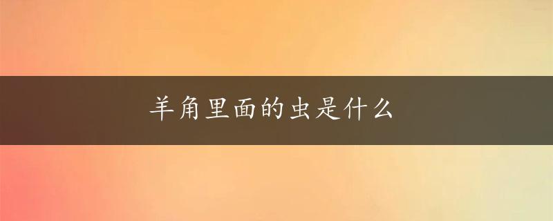 羊角里面的虫是什么