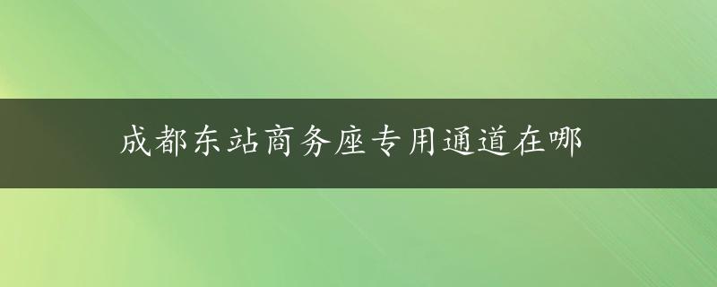 成都东站商务座专用通道在哪