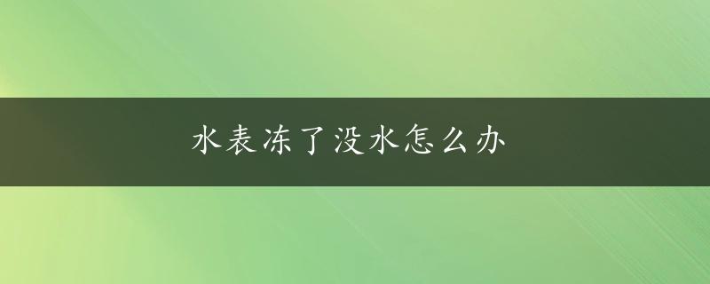 水表冻了没水怎么办