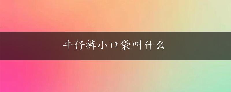 牛仔裤小口袋叫什么