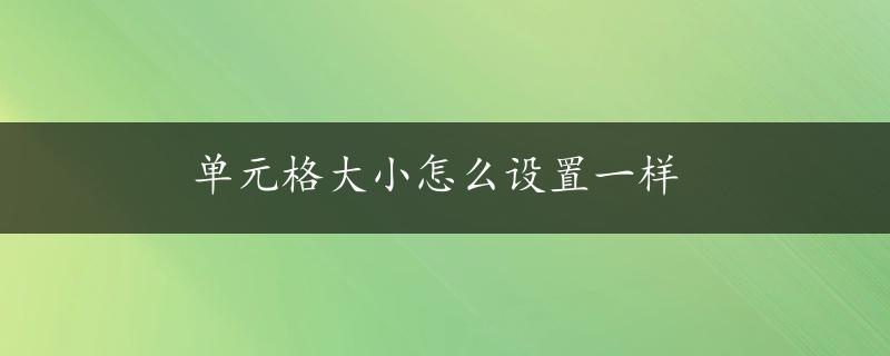 单元格大小怎么设置一样