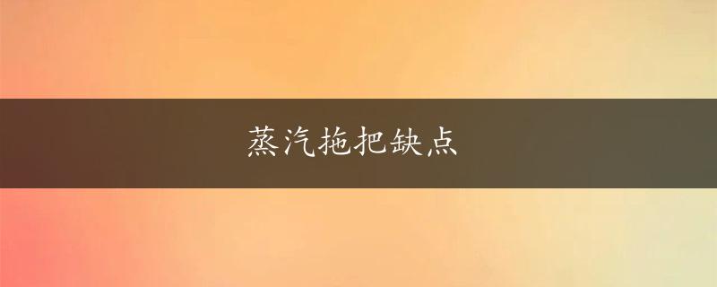 蒸汽拖把缺点