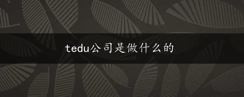 tedu公司是做什么的