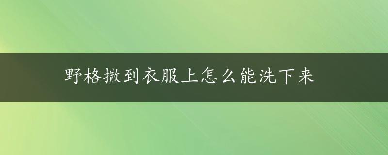 野格撒到衣服上怎么能洗下来