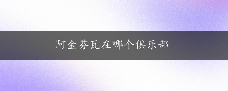 阿金芬瓦在哪个俱乐部