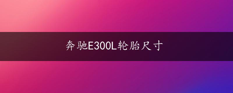 奔驰E300L轮胎尺寸