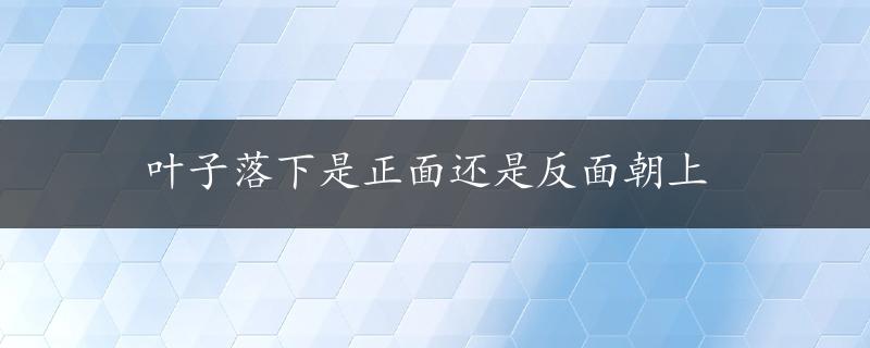 叶子落下是正面还是反面朝上