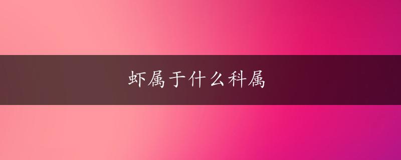 虾属于什么科属