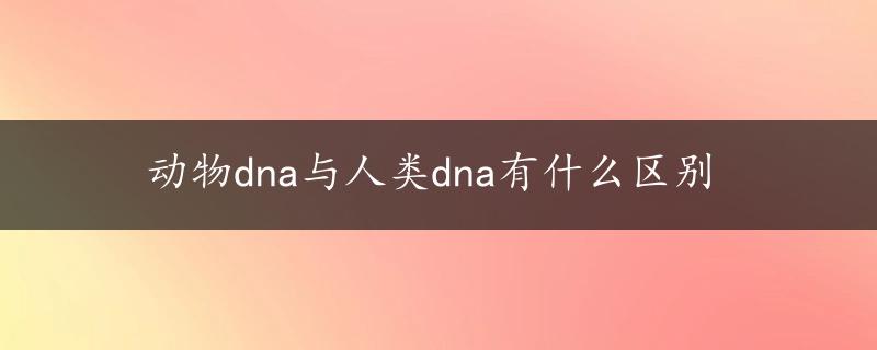 动物dna与人类dna有什么区别