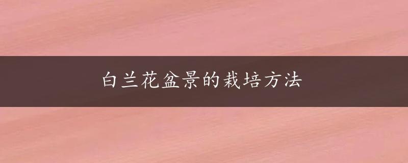 白兰花盆景的栽培方法