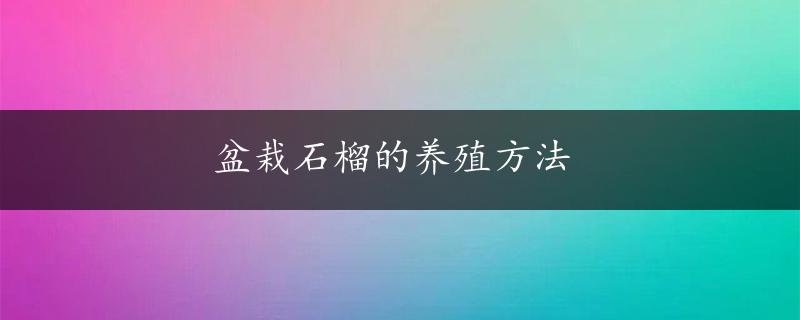 盆栽石榴的养殖方法