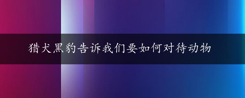 猎犬黑豹告诉我们要如何对待动物