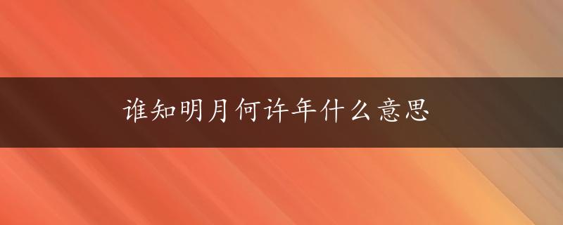 谁知明月何许年什么意思