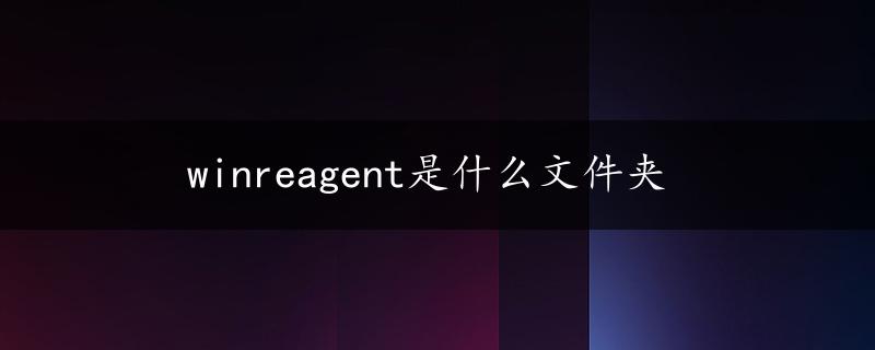 winreagent是什么文件夹