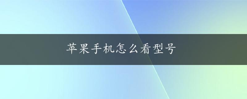 苹果手机怎么看型号