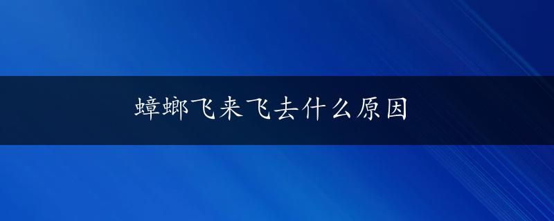 蟑螂飞来飞去什么原因